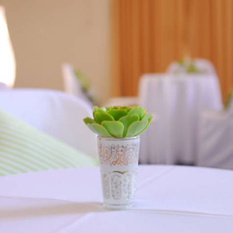 Gippsland Weddings - Food and Event - Cactus